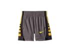 Nike Kids Elite Stripe Shorts (toddler) (gunsmoke) Boy's Shorts