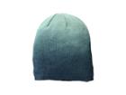 Pistil Patina (teal) Beanies