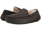 Ugg Ascot (charcoal) Men's Slippers