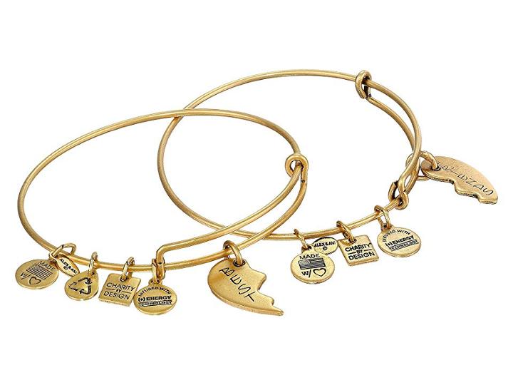 Alex And Ani Best Friends Set Of 2 Charm Bangle (rafaelian Gold Finish) Bracelet