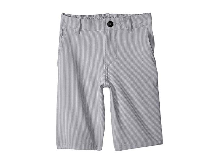 Quiksilver Kids Union Pinstripe Amphibian Shorts (toddler/little Kids) (sleet) Boy's Shorts