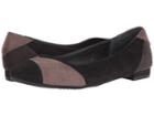 Rialto Autumn (black Suedette) Women's Shoes