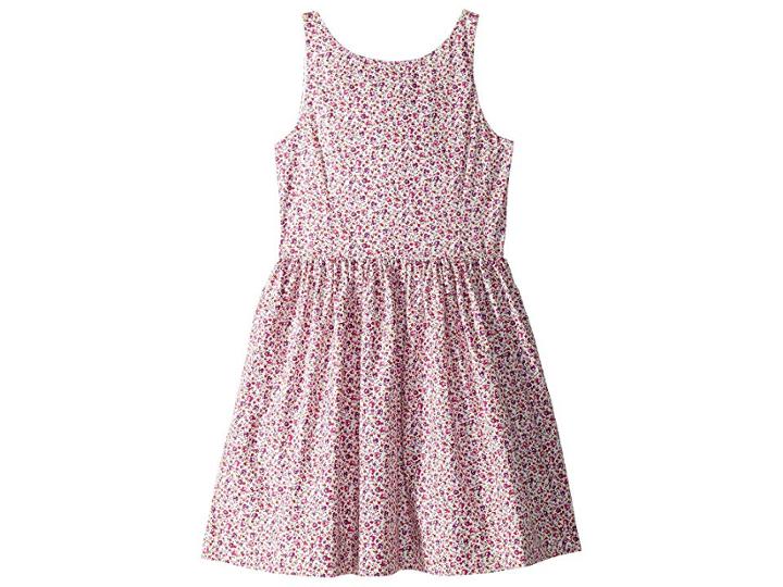 Polo Ralph Lauren Kids Floral Fit-and-flare Dress (big Kids) (colette Floral) Girl's Dress