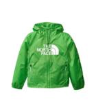 The North Face Kids Flurry Wind Hoodie (little Kids/big Kids) (classic Green) Boy's Sweatshirt
