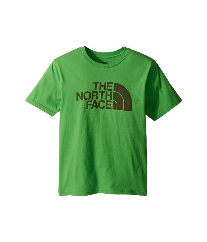 The North Face Kids Short Sleeve Graphic Tee (little Kids/big Kids) (classic Green/burnt Olive Green) Boy's Clothing