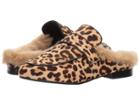 Steve Madden Kaden-l (leopard) Women's Clog/mule Shoes
