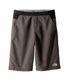 The North Face Kids Hike/water Shorts (little Kids/big Kids) (graphite Grey (prior Season)) Boy's Shorts
