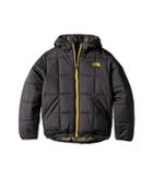 The North Face Kids Reversible Perrito Jacket (little Kids/big Kids) (graphite Grey (prior Season)) Boy's Coat