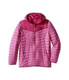 The North Face Kids Reversible Thermoball Hoodie (little Kids/big Kids) (wisteria Purple (prior Season)) Girl's Sweatshirt