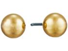 Lauren Ralph Lauren 6mm Stud Earrings (gold) Earring