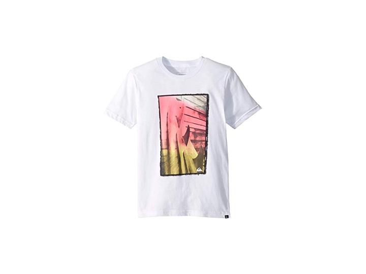 Quiksilver Kids Quiver Gradient (toddler/little Kids) (white) Boy's T Shirt