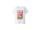 Quiksilver Kids Quiver Gradient (toddler/little Kids) (white) Boy's T Shirt
