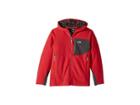 The North Face Kids Chimborazo Hoodie (little Kids/big Kids) (tnf Red/graphite Grey) Boy's Sweatshirt