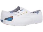 Keds Champion Little Miss Bossy (blue Multi Canvas) Women's Lace Up Casual Shoes