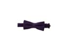 Appaman Kids Bow Tie (toddler/little Kids/big Kids) (purple Crosshatch) Ties