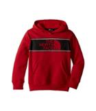 The North Face Kids Logowear Pullover Hoodie (little Kids/big Kids) (tnf Red/tnf Black) Boy's Sweatshirt