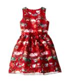 Us Angels Sleeveless Organza Striped Floral Dress With Full Skirt (big Kids) (ruby) Girl's Dress