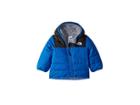 The North Face Kids Reversible Mount Chimborazo Hoodie (infant) (turkish Sea) Kid's Sweatshirt