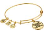 Alex And Ani Charity By Design It's Not A Sprint Charm Bangle (rafaelian Gold Finish) Bracelet