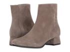 Cordani Bessie (taupe Suede) Women's Boots