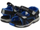 Timberland Kids Mad River 2-strap Sandal (toddler/little Kid) (black/royal) Boys Shoes