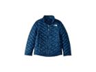 The North Face Kids Thermoball Full Zip (little Kids/big Kids) (blue Wing Teal) Girl's Coat