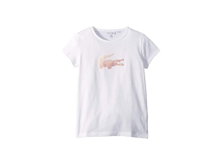 Lacoste Kids Short Sleeve Striped Croc Tee Shirt (toddler/little Kids/big Kids) (white/white) Girl's T Shirt