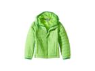 Columbia Kids Powder Litetm Puffer (little Kids/big Kids) (green Mamba/fuse Green) Boy's Coat