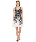Maggy London Lace Leaf Border Fit And Flare Dress (soft White/black) Women's Dress