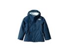 The North Face Kids Mt. View Triclimate (little Kids/big Kids) (blue Wing Teal) Girl's Coat