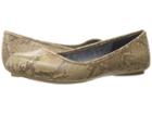 Dr. Scholl's Friendly (stucco Oppel Snake) Women's Flat Shoes