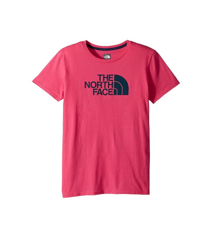 The North Face Kids Short Sleeve Graphic Tee (little Kids/big Kids) (petticoat Pink/blue Wing Teal) Girl's Short Sleeve Pullover