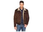 U.s. Polo Assn. Cord Jean Jacket (dark Brown) Men's Coat