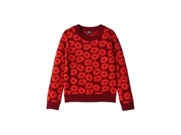 Splendid Littles Daisy Print Sweater (big Kids) (burgundy) Girl's Sweater