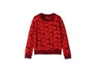 Splendid Littles Daisy Print Sweater (big Kids) (burgundy) Girl's Sweater