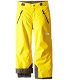 The North Face Kids Freedom Insulated Pants (little Kids/big Kids) (canary Yellow (prior Season)) Boy's Outerwear