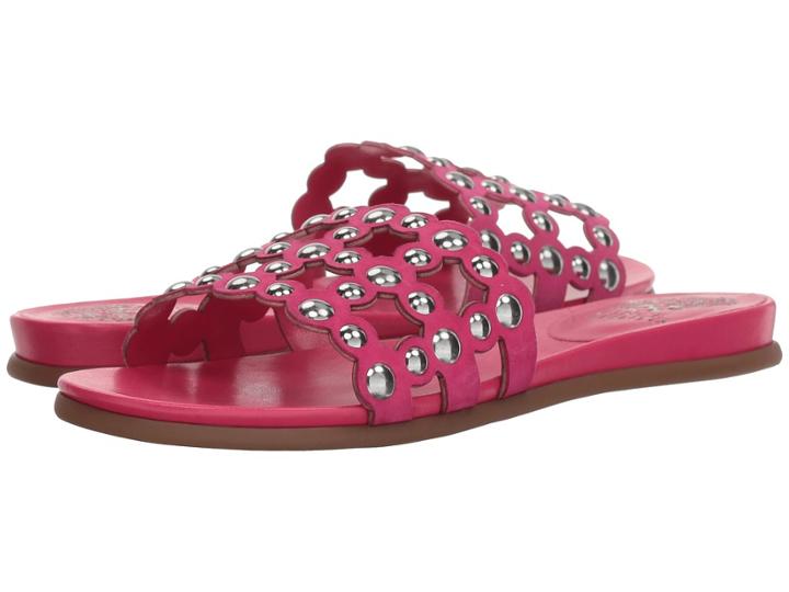 Vince Camuto Ellanna (hot Berry Pink) Women's Shoes