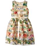 Us Angels Sleeveless Organza Striped Floral Dress With Full Skirt (big Kids) (champagne) Girl's Dress