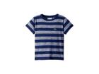 Lacoste Kids Short Sleeve Striped Jersey T-shirt (toddler/little Kids/big Kids) (maritime/white) Boy's Clothing