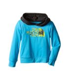 The North Face Kids Long Sleeve Hike/water Tee (toddler) (meridian Blue (prior Season)) Boy's Sweatshirt