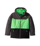The North Face Kids Brayden Insulated Jacket (little Kids/big Kids) (krypton Green (prior Season)) Boy's Coat