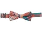 Appaman Kids Bow Tie (toddler/little Kids/big Kids) (bushwick Plaid) Ties