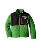 The North Face Kids Glacier Track Jacket (little Kids/big Kids) (classic Green/graphite Grey/tnf White) Boy's Coat