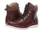 English Laundry Blackpool (brown) Men's Shoes