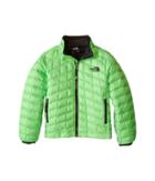 The North Face Kids Thermoball Full Zip Jacket (little Kids/big Kids) (electric Mint Green (prior Season)) Boy's Coat