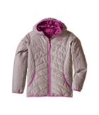 The North Face Kids Reversible Perrito Peak Jacket (little Kids/big Kids) (metallic Silver (prior Season)) Girl's Coat