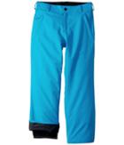 Volcom Kids Explorer Insulated Pants (little Kids/big Kids) (blue) Boy's Outerwear