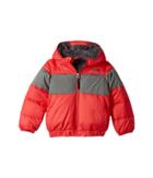 The North Face Kids Moondoggy 2.0 Down Jacket (toddler) (tnf Red (prior Season)) Boy's Coat