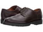Allen Edmonds Tate Wingtip (brown Burnished Calf) Men's Lace Up Casual Shoes
