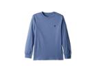 Polo Ralph Lauren Kids Cotton Long Sleeve T-shirt (big Kids) (capri Blue) Boy's T Shirt